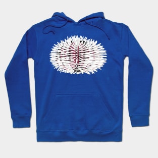 White and red sea urchin animal Hoodie